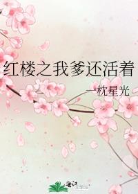 红楼之我爹还活着