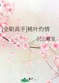 [全职高手]桃叶灼情