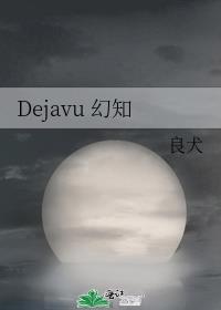 Dejavu 幻知