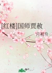 [红楼]国师贾赦