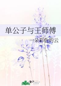 单公子与王师傅