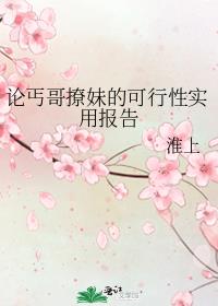 论丐哥撩妹的可行性实用报告