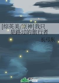 [综英美/原神]我只是路过的旅行者