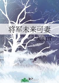 将军未来可妻