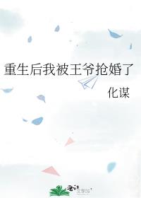 重生后我被王爷抢婚了