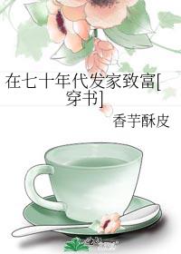 在七十年代发家致富[穿书]