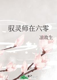 驭灵师在六零