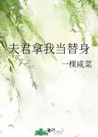 夫君拿我当替身