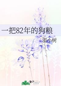 一把82年的狗粮