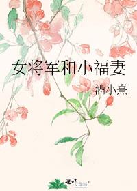 女将军和小福妻