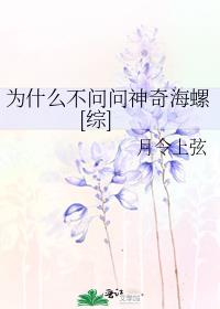 为什么不问问神奇海螺[综]