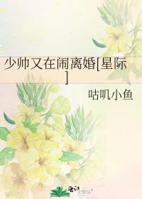 少帅又在闹离婚[星际]