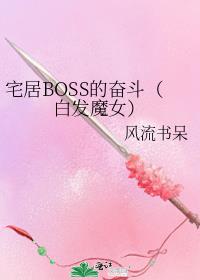 宅居BOSS的奋斗（白发魔女）