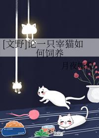 [文野]论一只宰猫如何饲养