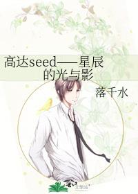 高达seed——星辰的光与影