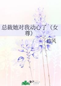 总裁她对我动心了（女尊）