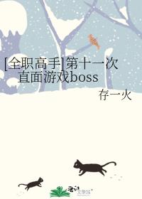 [全职高手]第十一次直面游戏boss