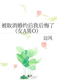 被取消婚约后我后悔了（女A男O）