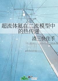 超流体氦在二流模型中的热传递