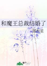 和魔王总裁结婚了