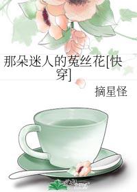 那朵迷人的菟丝花[快穿]