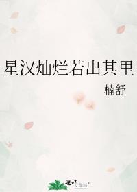 星汉灿烂若出其里