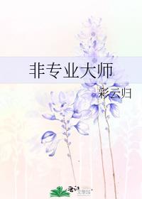 非专业大师