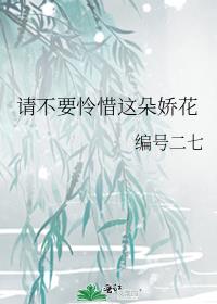 请不要怜惜这朵娇花