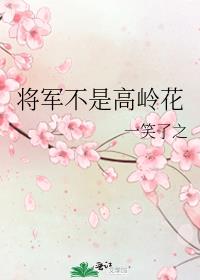 将军不是高岭花