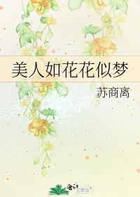 美人如花花似梦