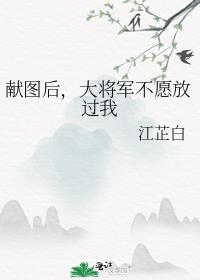 献图后，大将军不愿放过我