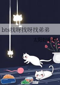 bts找呀找呀找弟弟